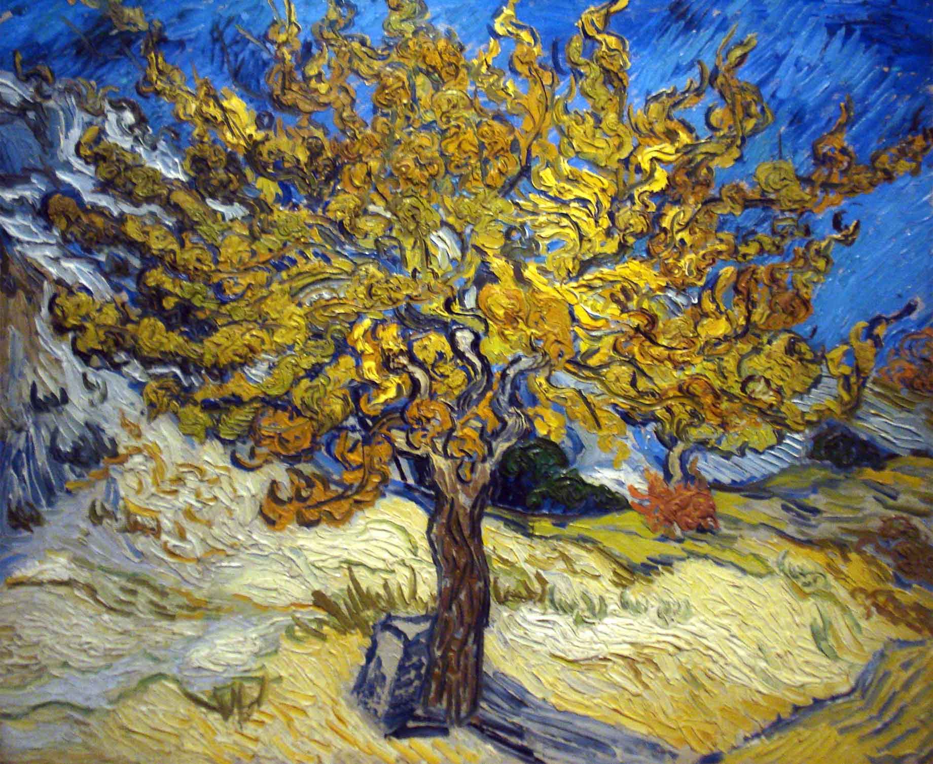 Van Gogh s Blossoming Trees Tales By Trees