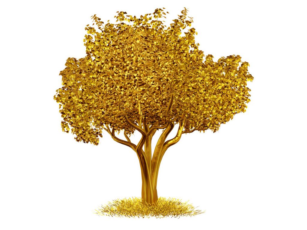 can trees tell us where gold is buried tales by trees can trees tell us where gold is buried tales by trees