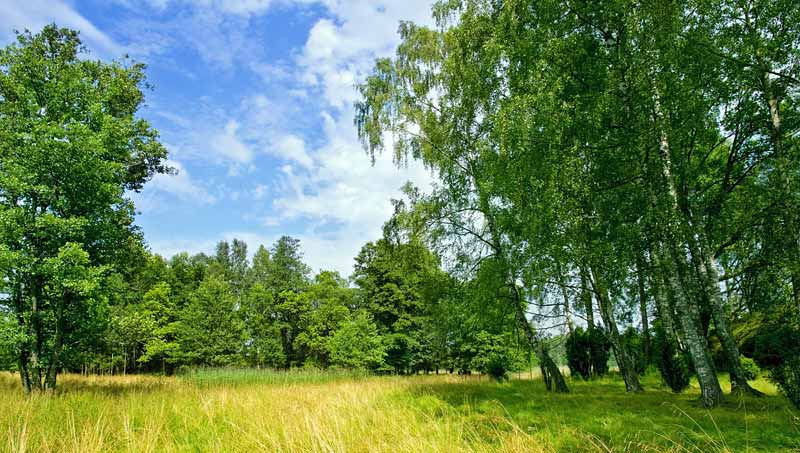 Finnish countryside