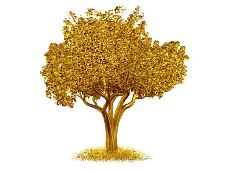 Can Trees Tell Us Where Gold Is Buried? Tales by Trees