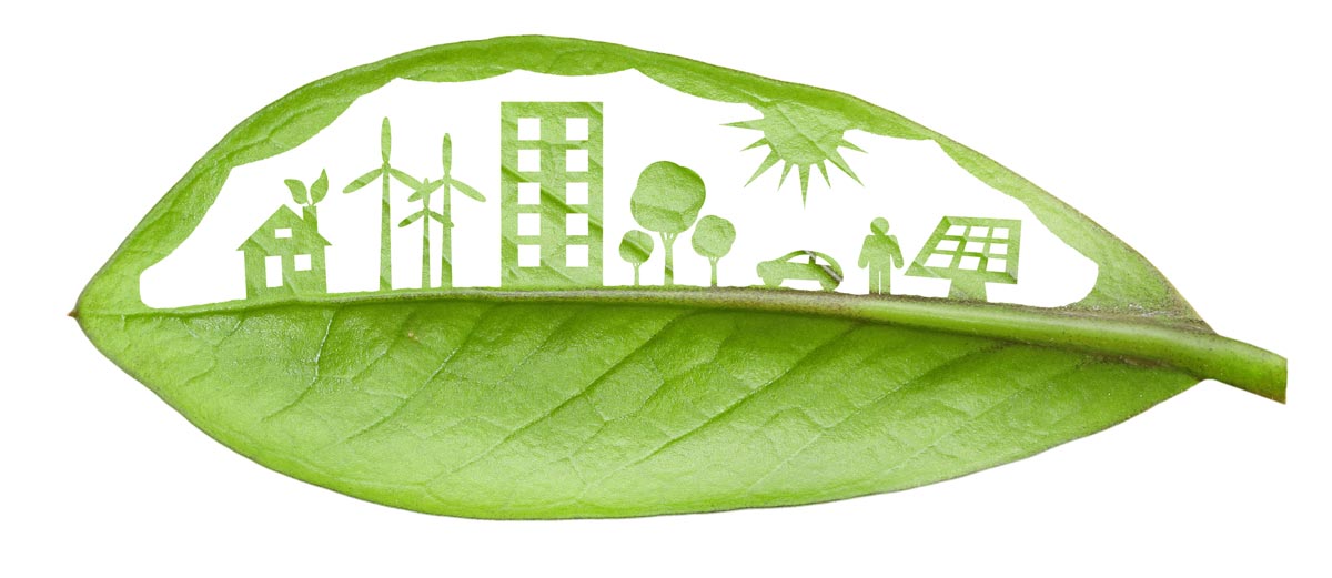 Green sustainability