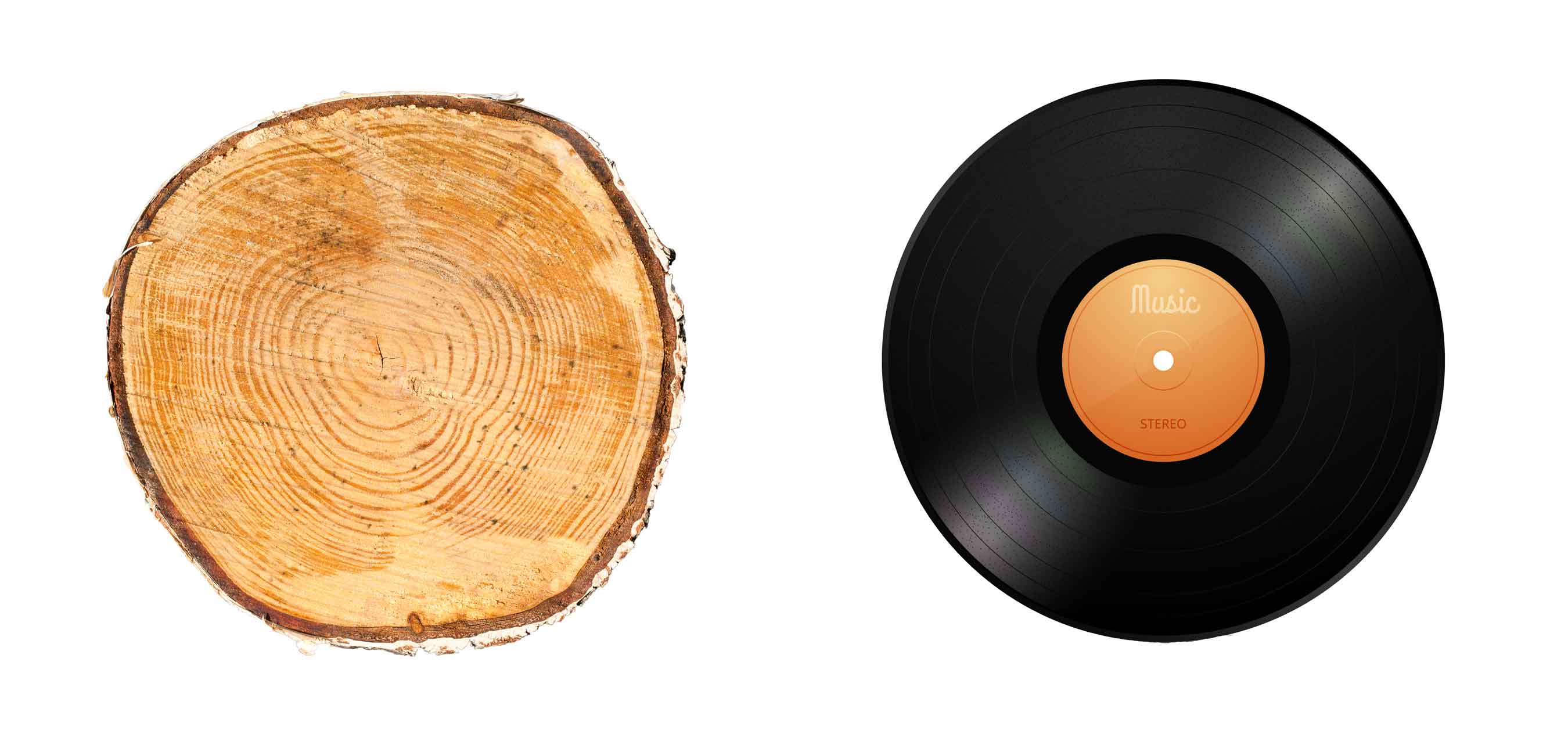 Tree rings and an LP record