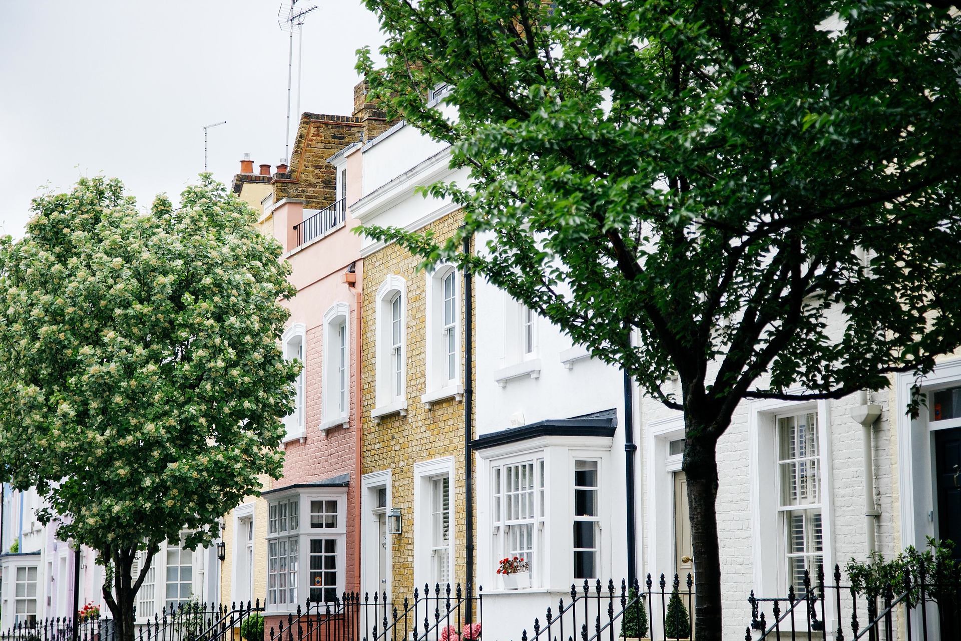 The Amazing Effect Trees Have On Neighborhood Streets